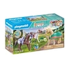 Image de Horses of Waterfall 71356 3 chevaux Morgan, Quarter Horse & Shagya