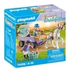 Image de Horses of Waterfall 71496 Enfants avec calèche et poney