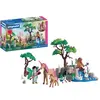 Image de Jeu de simulation Journée avec les fées Playmobil Multicolore TU A2601932