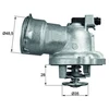 Image de Thermostat D'Eau Mahle Tm2887 Mercedes-Benz