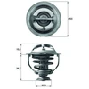 Image de Thermostat D'Eau Mahle Tx11795d Audi;Volkswagen