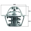 Image de Thermostat D'Eau Mahle Tx20482d Ford