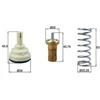 Image de Thermostat, Liqiuide De Refroidissement Behr Mahle Tx20980d Volkswagen