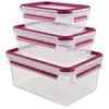 Image de Emsa 515584 Alimentaires Clip & Close, Transparent/Rose, 0,55/1/2,3 Litre, Lot de 3 Boîtes en occasion ou reconditionné