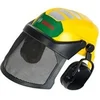 Image de Casque de travailleur forestier Theo avec visière