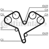 Image de Courroie De Distribution Ct990 Contitech Contitech Ct990 Opel;Saab;Vauxhall