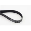 Image de Courroie Trapézoïdale À Nervures 7pk1165 Contitech Contitech 7pk1165 Nissan