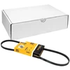 Image de Courroie Trapézoïdale À Nervures 3pk850 Contitech Contitech 3pk850 Lancia;Smart;Toyota