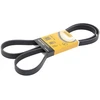 Image de Courroie Trapézoïdale À Nervures 6pk1715 Contitech Contitech 6pk1715 Bmw;Chevrolet;Citroen;Dodge;Ford;Ford Usa;Mini;Mitsubishi;Opel;Renault;Vauxhall;Volkswagen