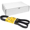 Image de Courroie Trapézoïdale À Nervures 6pk1460 Contitech Contitech 6pk1460 Bmw;Daihatsu;Ford;Honda;Land Rover;Mg;Opel;Renault;Rover;Skoda;Vauxhall;Volkswagen