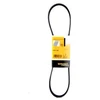 Image de Courroie Trapézoïdale À Nervures 4pk925 Contitech Contitech 4pk925 Dacia;Fiat;Ford Usa;Honda;Kia;Mazda;Mitsubishi;Nissan;Renault;Rover;Saab;Suzuki;Toyota