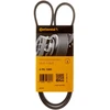 Image de Courroie Trapézoïdale À Nervures 4pk1000 Contitech Contitech 4pk1000 Mazda;Mitsubishi