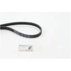 Image de Courroie Trapézoïdale À Nervures 4pk1237 Contitech Contitech 4pk1237 Audi;Renault;Skoda;Toyota;Volkswagen