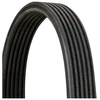 Image de Courroie Trapézoïdale À Nervures 6dpk1225 Contitech Contitech 6dpk1225 Fiat;Lancia