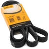 Image de Courroie Trapézoïdale À Nervures 6pk2065 Contitech Contitech 6pk2065 Bmw;Chevrolet;Ford Usa;Mercedes-Benz;Opel;Vauxhall