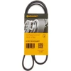 Image de Courroie Trapézoïdale À Nervures 6pk1019 Elast Contitech Contitech 6pk1019elast Ford;Mazda