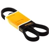 Image de Courroie Trapézoïdale À Nervures 6dpk1320 Contitech Contitech 6dpk1320 Audi;Ford;Seat;Volkswagen