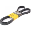 Image de Courroie Trapézoïdale À Nervures 7pk1795 Contitech Contitech 7pk1795 Nissan;Opel;Renault