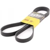 Image de Courroie Trapézoïdale À Nervures 6pk1710 Contitech Contitech 6pk1710 Citroen;Fiat;Infiniti;Opel;Peugeot;Renault