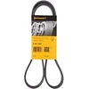 Image de Courroie Trapézoïdale À Nervures 6pk1244 Contitech Contitech 6pk1244 Chevrolet;Citroen;Fiat;Ford;Jeep;Lexus;Opel;Peugeot;Toyota;Vauxhall