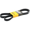 Image de Courroie Trapézoïdale À Nervures 7pk1642 Contitech Contitech 7pk1642 Honda;Nissan;Renault;Toyota