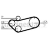 Image de Courroie De Distribution Ct675 Contitech Contitech Ct675 Citroen