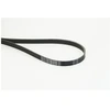 Image de Courroie Trapézoïdale En Poly 6pk1390 Extra Contitech Contitech 6pk1390extra Alfa Romeo