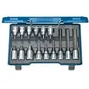 Image de Jeu de douilles-embouts 6129360 15 pièces Propulseur (tournevis): 1/2 (12.5 mm) 1 set