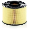 Image de Filtre À Air C17012/1 Mann Mann C17012/1 Audi