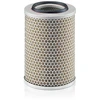 Image de Filtre À Air C 17 201 Mann-Filter Mann-Filter C17201 Volkswagen