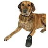 Image de Bottes De Protection Walker Care, 2 Pcs - Mon Animalerie