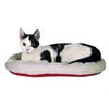 Image de Lit Douillet Chat Réversible, 47 × 38 Cm, Blanc/Rouge - 28630 - Mon Animalerie