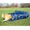 Image de Dog Activity Basic Tunnel Agility, Ø 60 Cm/5 M, Bleu - 3211 - Mon Animalerie