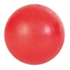 Image de Balle Sur Une Corde Denta Fun, Caoutchouc Naturel , Ø 7 Cm/24 Cm - 3298 - Mon Animalerie