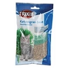 Image de Herbe à chat orges 100 g