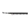 Image de Trixie Laisse Pour Chien Silver Reflect 2mx20 Mm