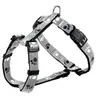 Image de Silver Reflect Harnais - Noir/Gris Argent - Mon Animalerie