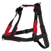 Image de Harnais dentrainement LeadnWalk Soft - Taille S-M - Pour chien