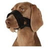 Image de Museliere sangle nylon - XL - Pour chien
