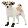 Image de Bottes de protection Walker Active. Taille: XS. pour chien. - - TR-19460