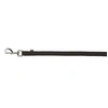 Image de Laisse a pister sangle plate 15m - 20mm - Noir - Pour chien