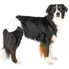 Image de Trixie Couches Ultra Absorbantes Pour Femmes 20-28 Cm 12 Unités