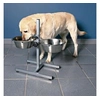 Image de Bar pour chiens