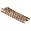 Image de Sticks a macher Matatabi - 10g - Pour chat