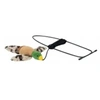 Image de Oiseau En Vol Pour Porte, Avec Catnip, 13 Cm/175 Cm - Mon Animalerie