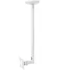 Image de My Wall HL 4-1 WL Support TV pour plafond télescopique, inclinable, pivotable 25,4 cm (10) - 76,2 cm (30) extensible, inclinable + pivotant, support