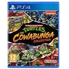 Image de Teenage Mutant Ninja Turtles: The Cowabunga Collection PS4