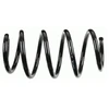 Image de Ressort De Suspension 998 951 Sachs Sachs 998951 Ford