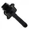 Image de Bobine D'Allumage Zs016 Borgwarner Beru Borgwarner Beru Zs016 Audi;Seat;Skoda;Volkswagen