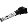 Image de Bobine D'Allumage Zse062 Borgwarner Beru Borgwarner Beru Zse062 Audi;Volkswagen